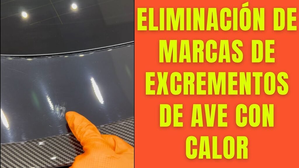 Cómo quitar las manchas de heces de pájaro