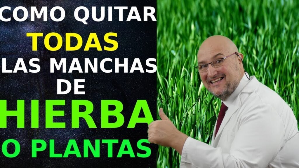 Cómo quitar las manchas de hierba de la ropa