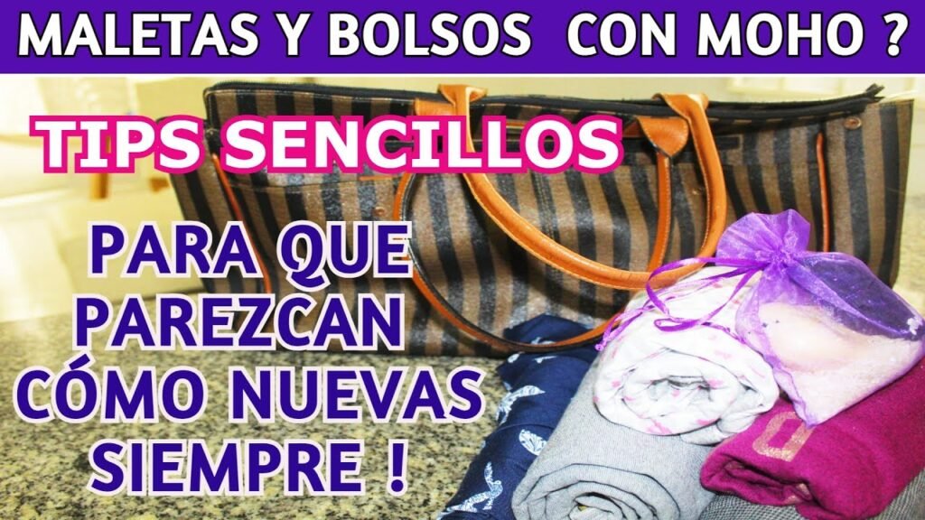 Cómo quitar las manchas de humedad en bolsos