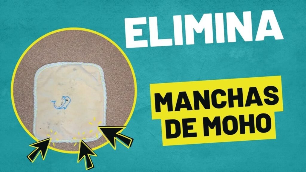 Cómo quitar las manchas de humedad en la ropa con bicarbonato
