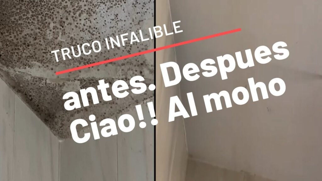 Cómo quitar las manchas de humedad en techos de escayola