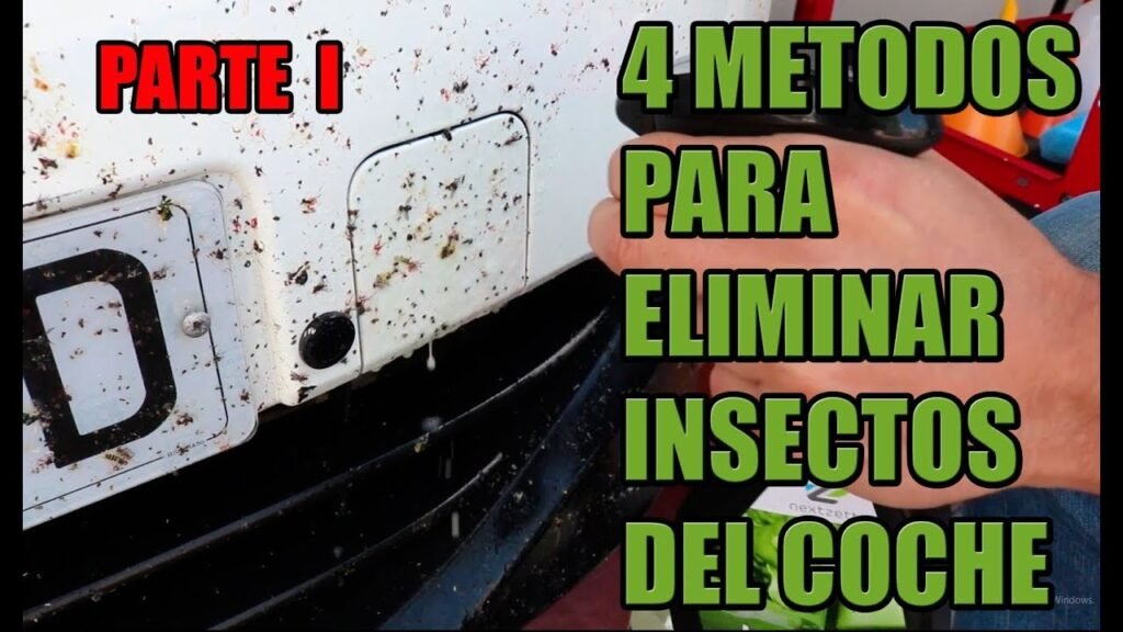 Cómo quitar las manchas de insectos del coche
