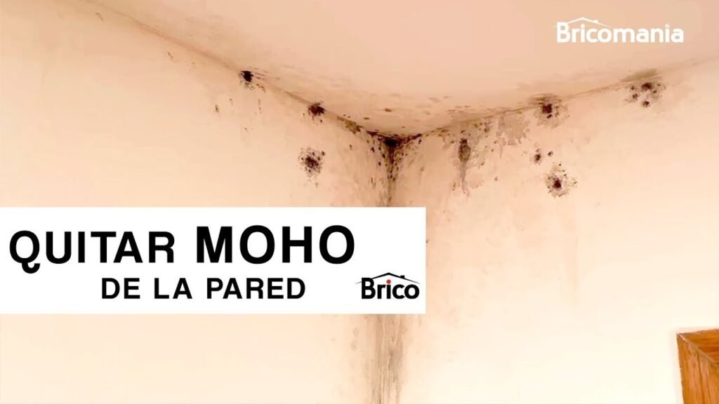 Cómo quitar las manchas de moho en el papel de la pared