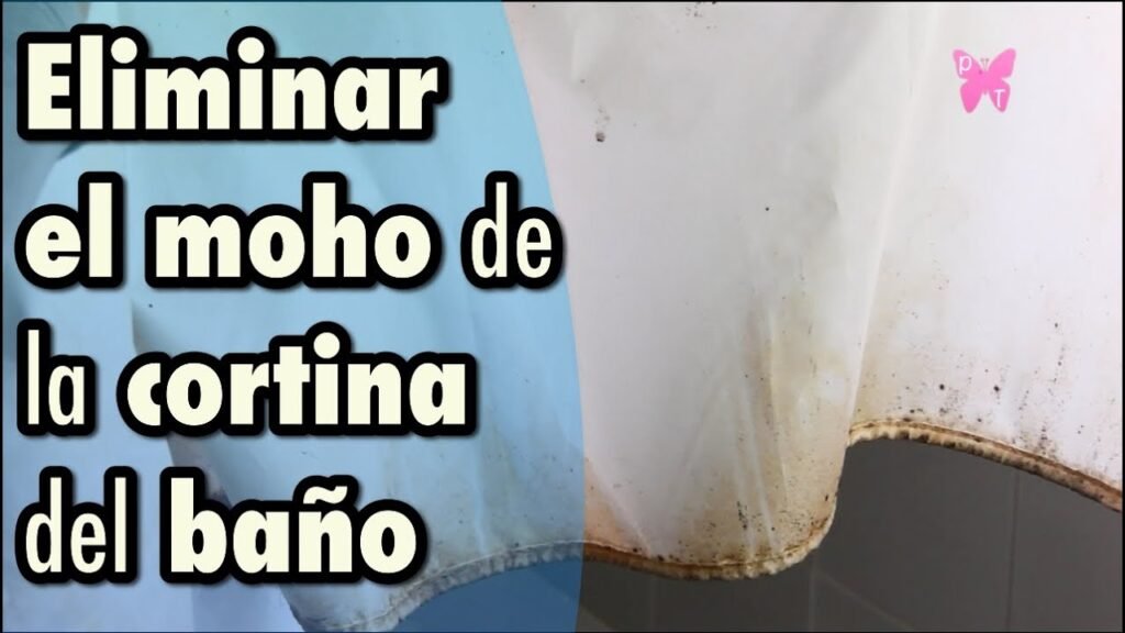 Cómo quitar las manchas de moho en las cortinas del baño